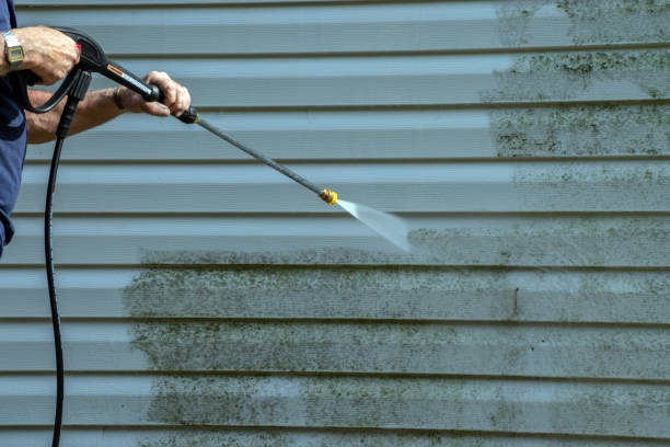 Best Graffiti Removal  in Bunker Hl, IL