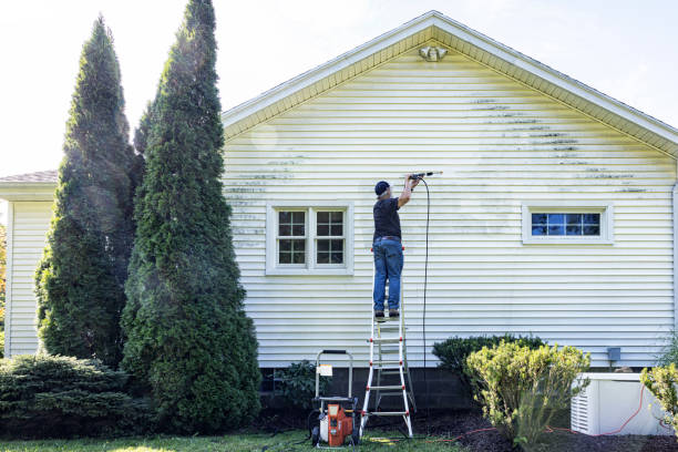 Best Rust Removal  in Bunker Hl, IL
