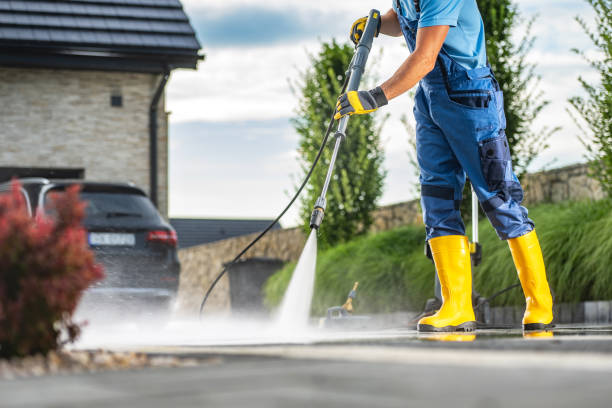 Best Animal Enclosure Cleaning  in Bunker Hl, IL